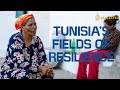 A mother toils in the fields to save her daughter | Tunisia&#39;s Fields of Resilience | Preview
