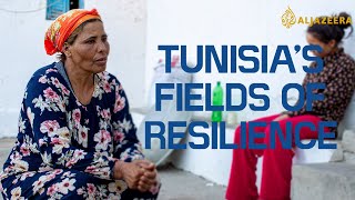 A mother toils in the fields to save her daughter | Tunisia's Fields of Resilience | Preview