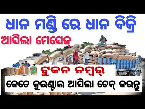 Dhan mandi token and quintals cheke | ଧାନ ମଣ୍ଡି ଟୁକନ ଏବଂ କୁଇଣ୍ଟାଲ ଚେକ୍ କରନ୍ତୁ