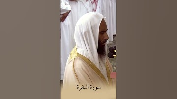 فضيلة د. الشيخ احمد طالب #القران #اكسبلور #تلاوة_خاشعة #أحمد_طالب_حميد