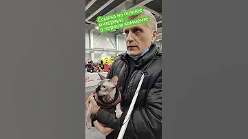 Правда ли, что от сфинксы оставляют после себя пятна?