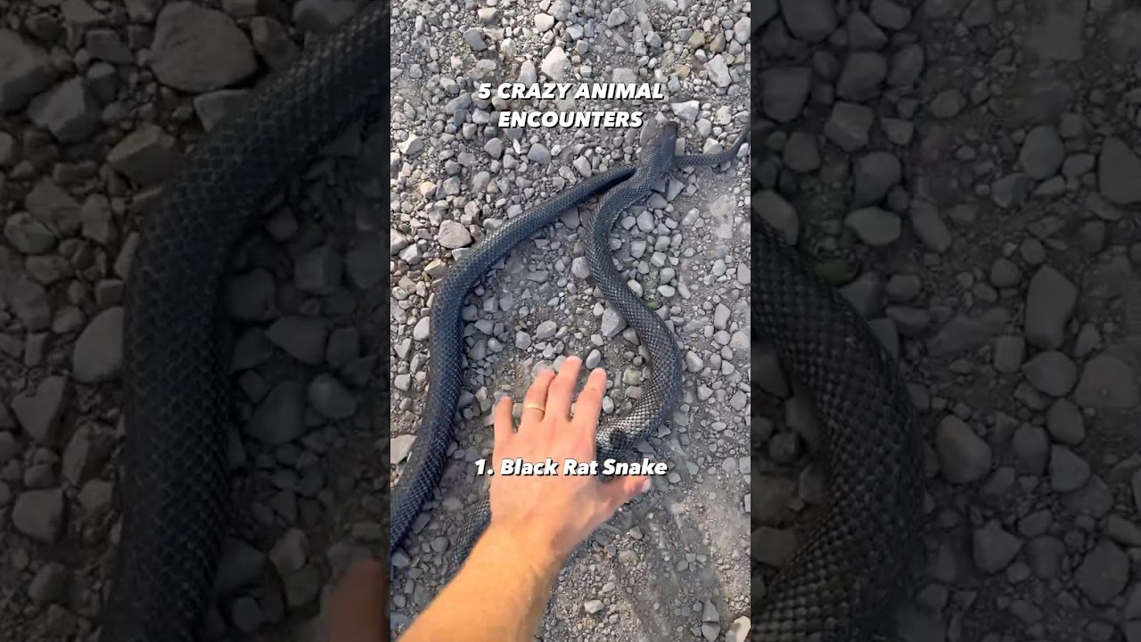 Вы не поверите, № 5!!! 