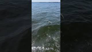 Just A Cool Clip I Made Fly Slowmo Fishing Boat Share Subscribe Coment