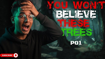 Most Mysterious Trees in the World 🌳 | Trees That Walk, Bleed, and Keep Ancient Secrets!