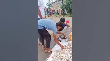 Sunday Fish Nagaichuvaigal 😂 | #shorts #funny #fish #sunday
