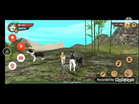 симулятор собаки. игра симулятор собаки. дог сим бессмертие. 9 мод без рекламы. аккаунты в дог сим.