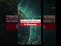 Why NVIDIA Alone Isn’t the Full AI Story