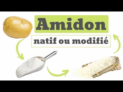 Qu&rsquo;est-ce que l&rsquo;amidon ?