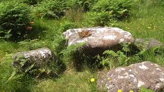 Princess Scotia And The Black Stone Of Destiny