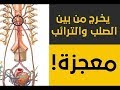 الرد على شبهة في قوله تعالى يخرج من بين الصلب والترائب 
