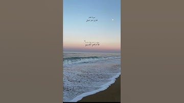 سورة الحشر القارئ ماهر المعيقلي🤍#القرآن_الكريم#سورة_الحشر#ماهر_المعيقلي