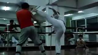 kyokushin karate VS wing chun