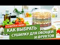 Как выбрать сушилку для овощей и фруктов ▶️ 5 советов и 2 мифа