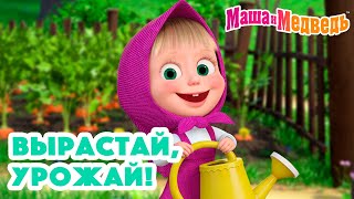 Маша и Медведь 🍓🍒 Вырастай, урожай! 🌼🌿🥕 Коллекция серий про Машу 2024 🎬 Час мультиков! by Маша и Медведь 3,855,054 views 7 days ago 1 hour, 6 minutes