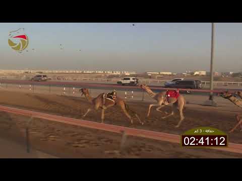 سباق الحقاقة الطي 07 11 2025 ش6 هداد ل محمد المر بن حلوه الكتبي 4 33