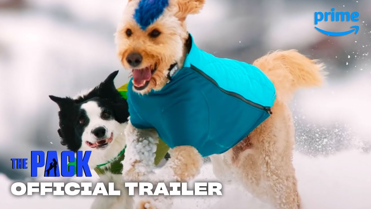 The Pack   Official Trailer  Prime Video