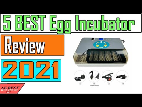 5 Best Egg Incubator Review 2021