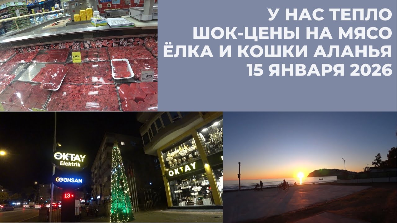 ШОК ЦЕНЫ НА МЯСО АЛАНЬЯ 15 ЯНВАРЯ 2026 У НАС ПОЧТИ ЛЕТО ГУЛЯЕМ КОРМИМ КОШЕК