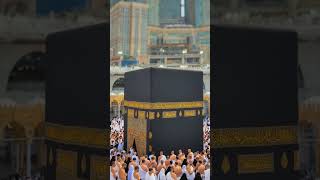 Allah ham sab ki kamyabi ke raste khol de #dua #deen #islam #islamicstatus #viral #foryou #love