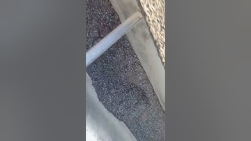 Shingle granules in gutter. Gutter clean out, pre house wash!