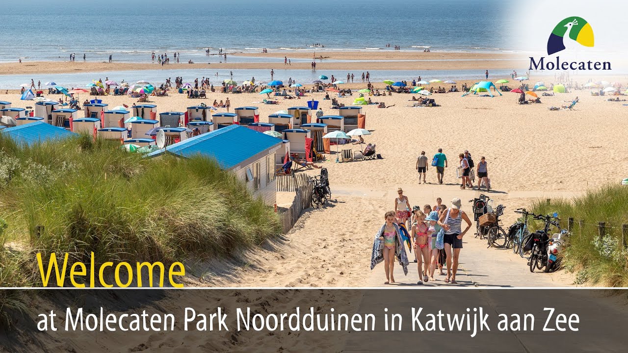 Welcome at Molecaten Park Noordduinen in Katwijk aan Zee, Netherlands