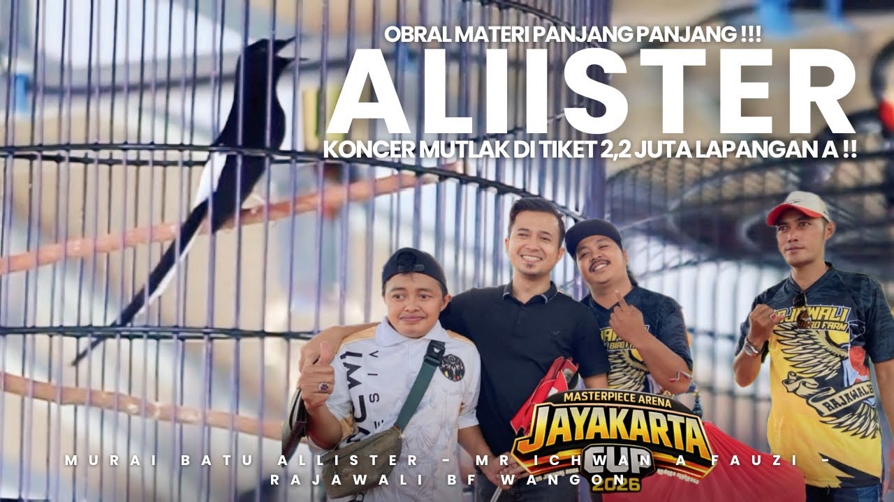 Perdana Main Jauh‼️Murai Batu ALLISTER Amunisi Om Alim RBF Koncer Mutlak Merah Di Tiket 2,2JT😱🔥