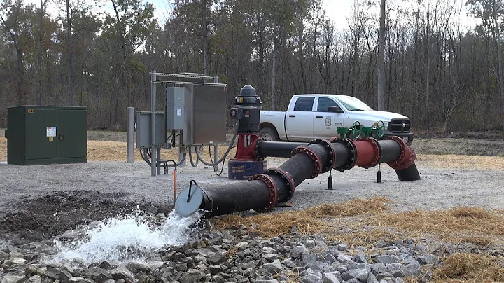 Climate Informed Restoration of Bottomland Hardwood Forests - Part II