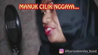 Story wa manok cilik gaya