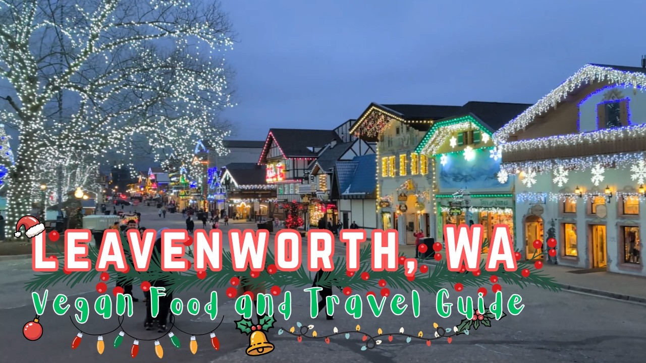 Bavarian Christmas Magic in WA: Ultimate Vegan Family Travel Vlog! 🏔️