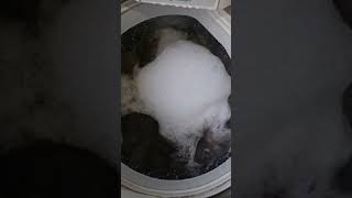 Washing Dirty Sofa Covers in Washing Machine #SHORTS