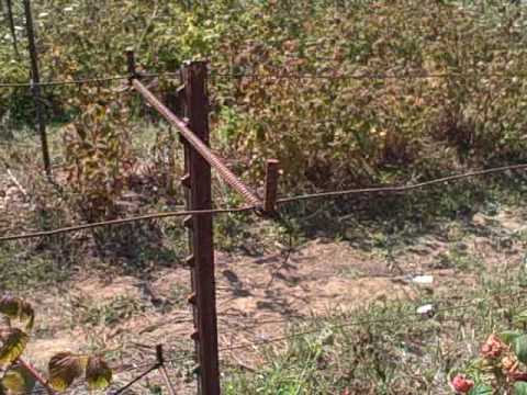 Staking Raspberries - Using T Posts and Rebar to m...