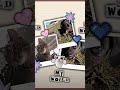 #animal #myworld
