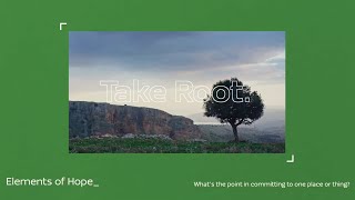 Take Root: Long-term conservation with A Rocha
