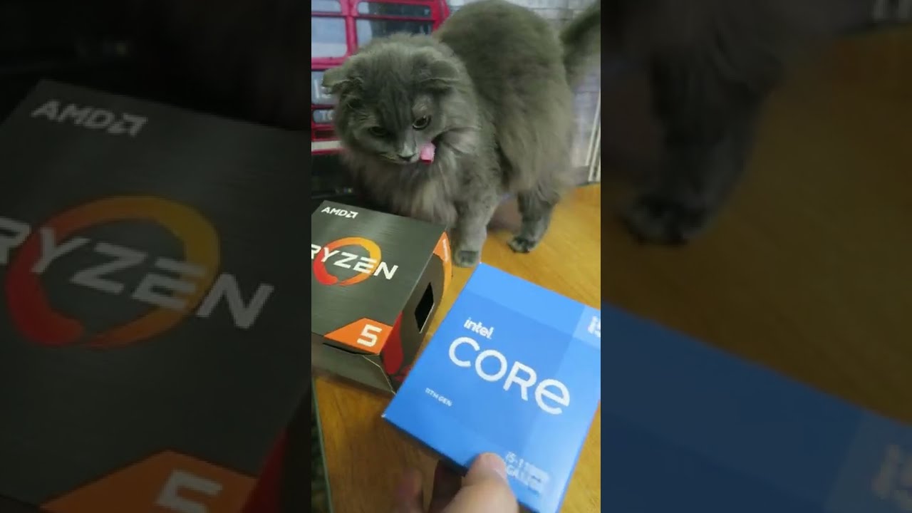 когда AMD продемонстрировала свой первый двухъядерный процессор