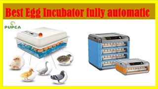 ✅Best Egg Incubator fully automatic | Top 5 Best Egg Incubator fully automatic