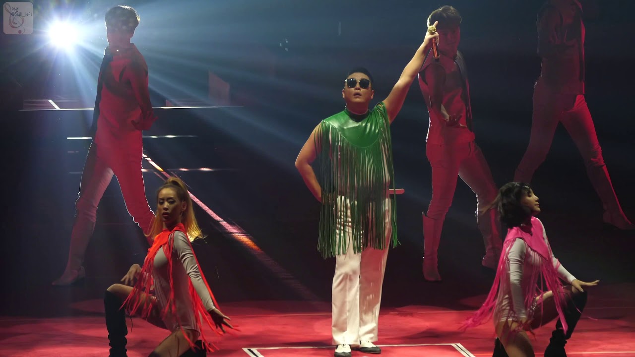 [직캠][4K 60P] 싸이 - Daddy [2018 싸이 올나잇 콘서트]