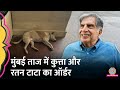 क्या हुआ जब Taj Hotel के गेट पर गेस्ट को बैठा दिखा कुत्ता? क्या है Ratan Tata का ऑर्डर?