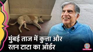 क्या हुआ जब Taj Hotel के गेट पर गेस्ट को बैठा दिखा कुत्ता? क्या है Ratan Tata का ऑर्डर?