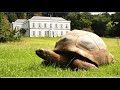 A new Guinness World Records Icon!