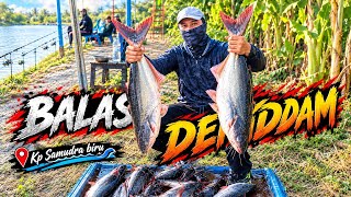 Asli Ndongak2 Kadung gelem - Kp Samudra biru, waru, Sidoarjo #230