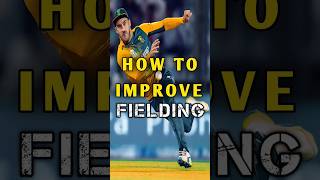 how to improve FIELDING #cricket #cricketinformation #fielding #fieldingtips #shorts #viral