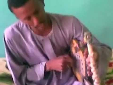 الفنان المبدع مالك بدين اركي جلي اديلي 