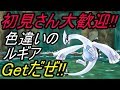【ポケモン】色違いのルギアGetだぜ!!【USUM】【Live】part 1