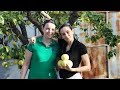 Heghineh Family Vlog #64 - Հարևանները - Heghineh Cooking Show in Armenian