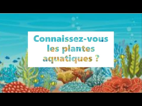 Vidéo: Différence Entre Les Plantes Terrestres Et Les Plantes Aquatiques
