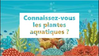 Différence entre les plantes terrestres et les plantes aquatiques