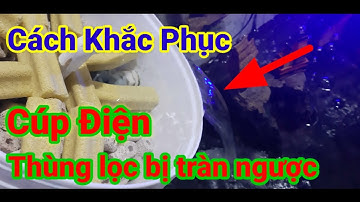 Sự Thật? Cúp điện! Thùng lọc có bị tràn ngược không? |Cách Khắc Phục| @congnghevietvlog7047 👍