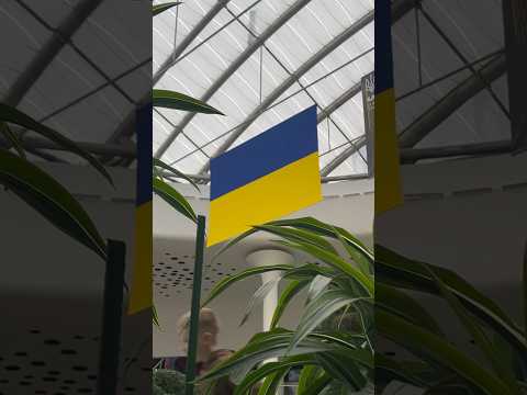Трц Recpublika park #варярындина #ryndinschannel #ukraine #украина #киев #kyiv #аттракционы