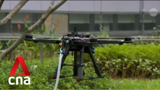 Aerial Arena at SUTD to support aerial robotics testing, training in Singapore