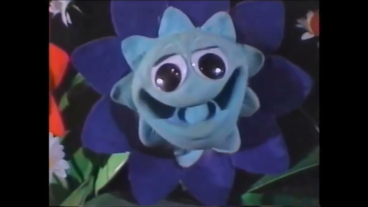 I found the singing flowers test music YouTube